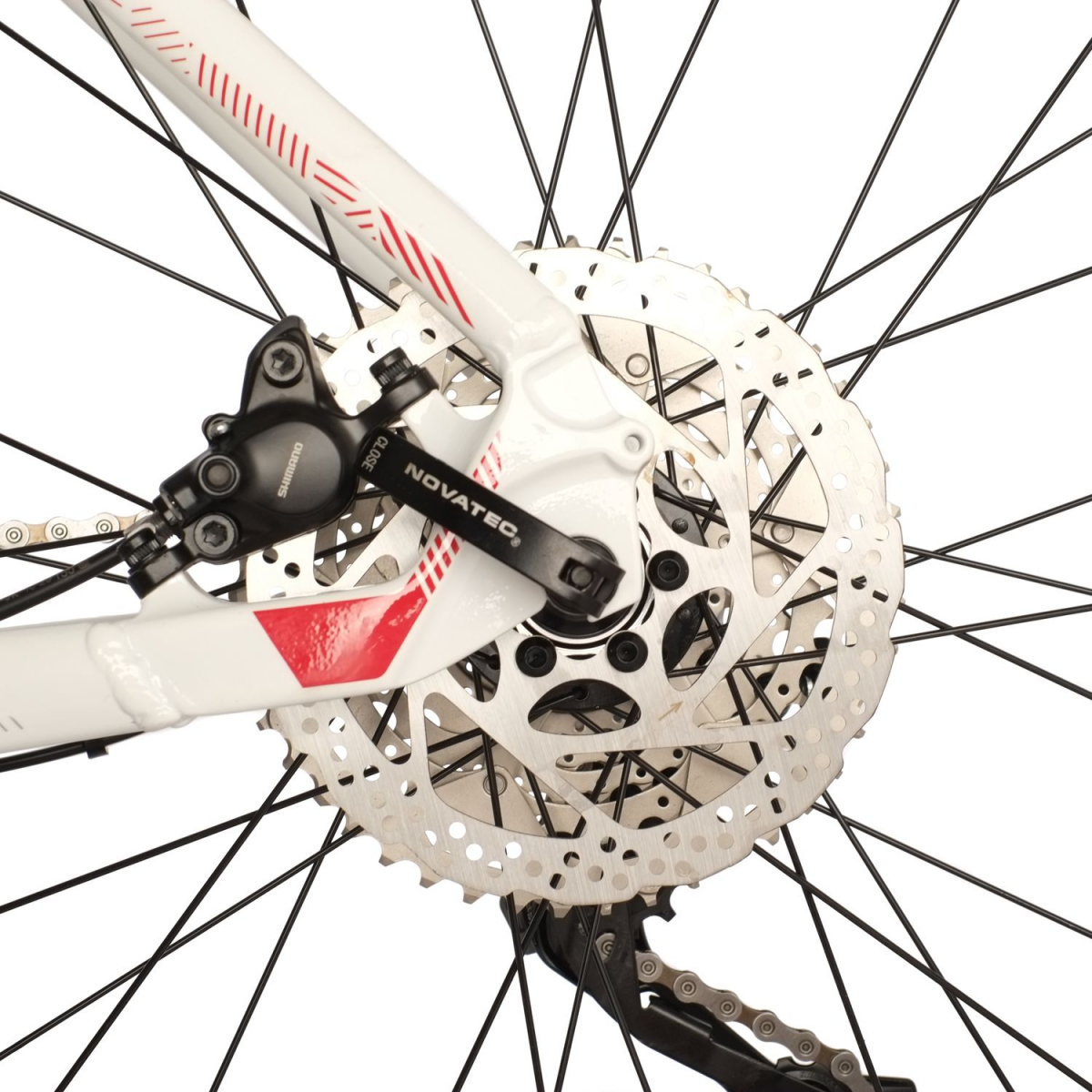 Горный (MTB) велосипед Stinger Reload Evo 29 (2021) рама 20