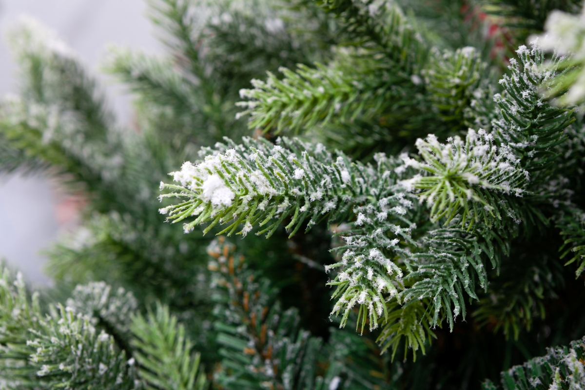 Crystal trees Ель искусственная Лаки заснеженная с ягодами 1.8 м