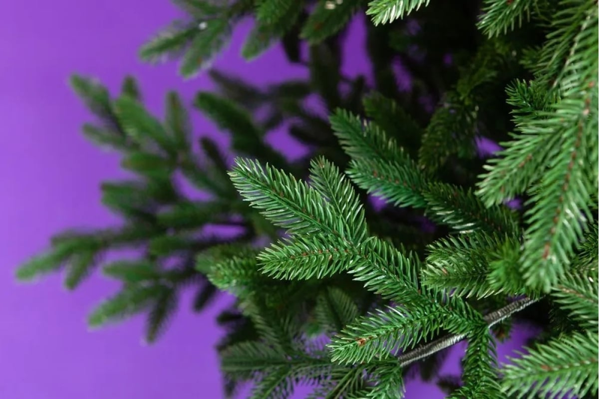 Crystal trees Ель искусственная ЗИМНЯЯ САМБА 60 см