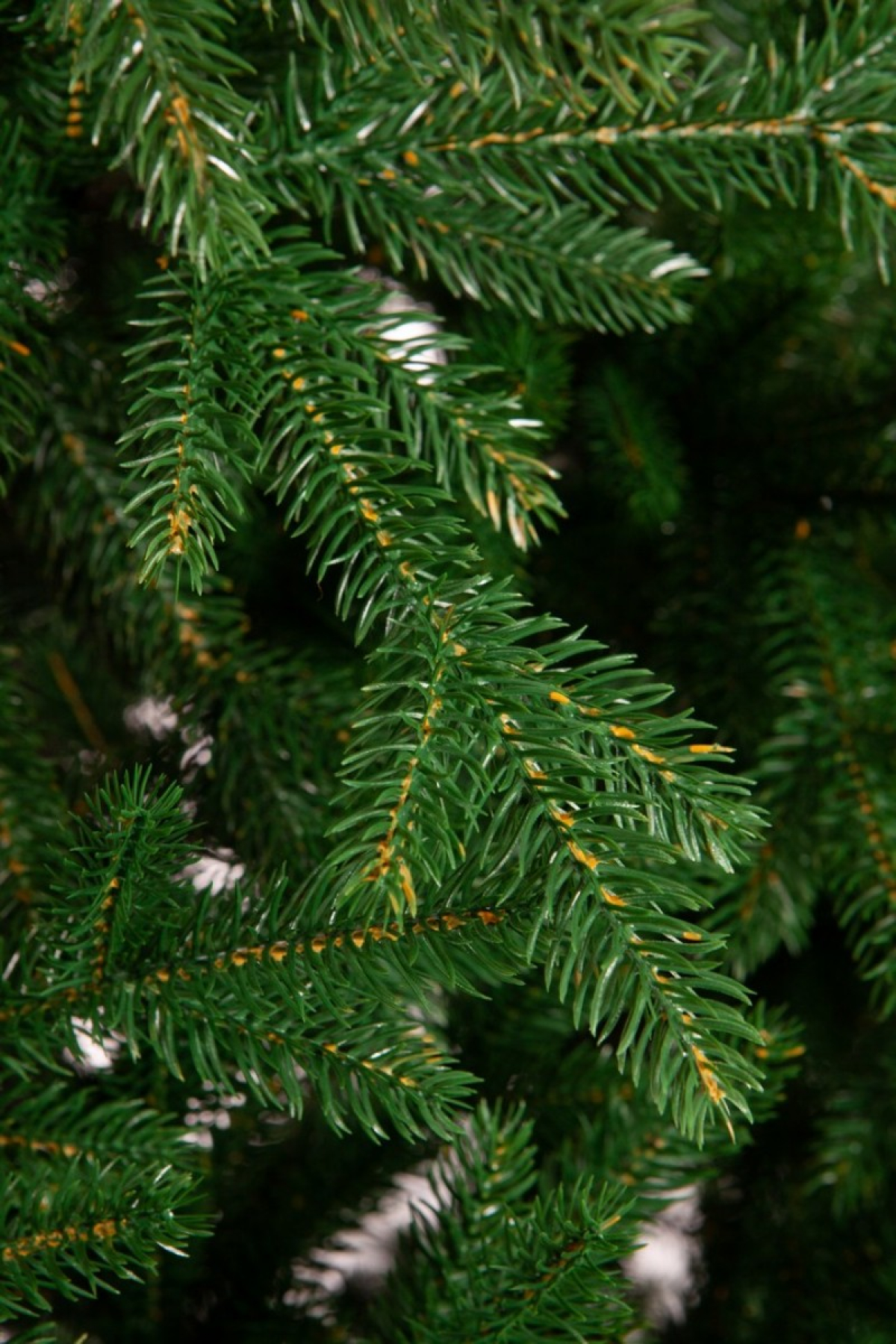 Crystal trees Ель искусственная Балканская 2.1 м