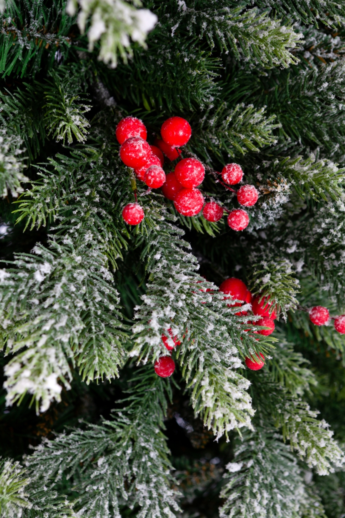Crystal trees Ель искусственная Лаки заснеженная с ягодами 1.8 м