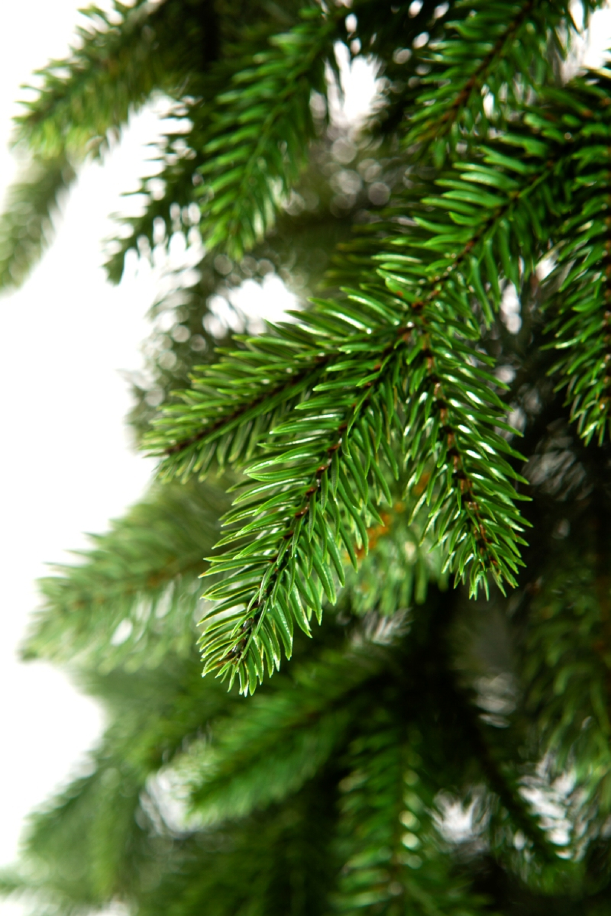 Ель искусственная Crystal trees АНДОРРА 240 см