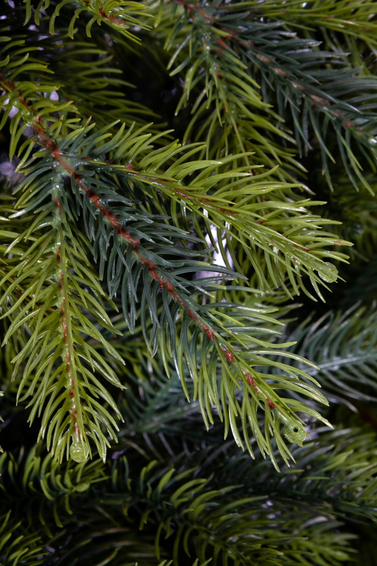 CRYSTAL TREES Ель искусственная Атланта премиум 2.1 м