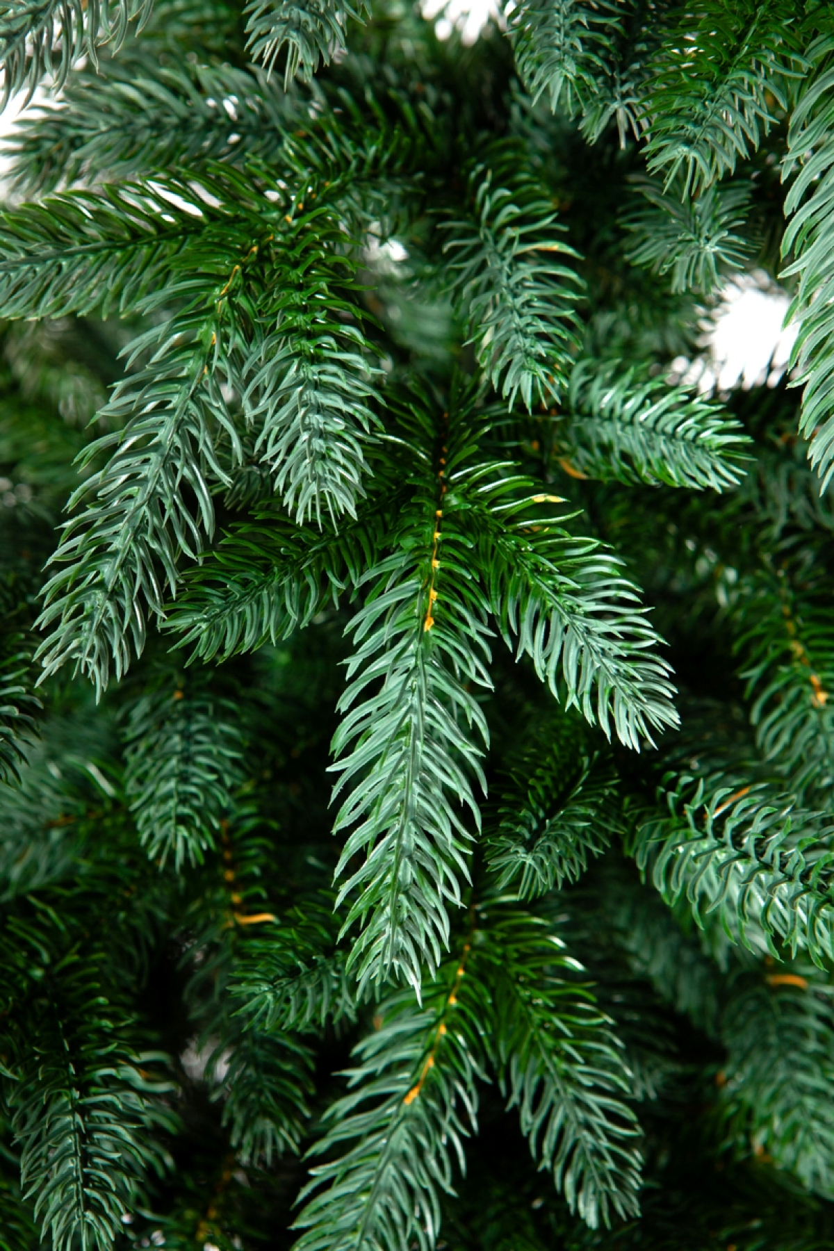 Crystal trees Ель искусственная ЭЙВА 150 см