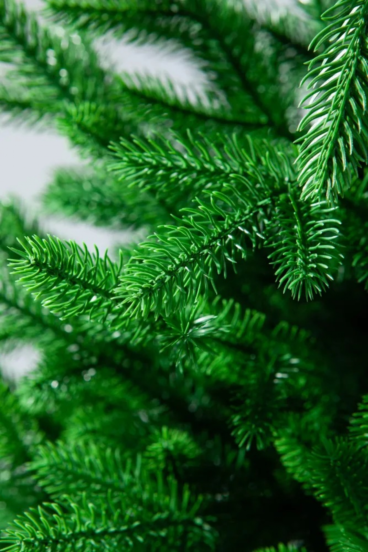 Ель искусственная Crystal trees Мадагаскар 180 см