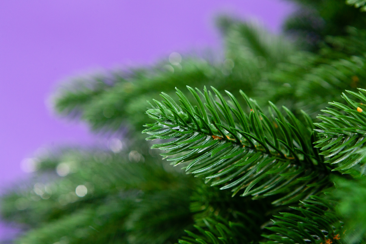 Crystal trees Ель искусственная ПАУЛИСТА 185 см