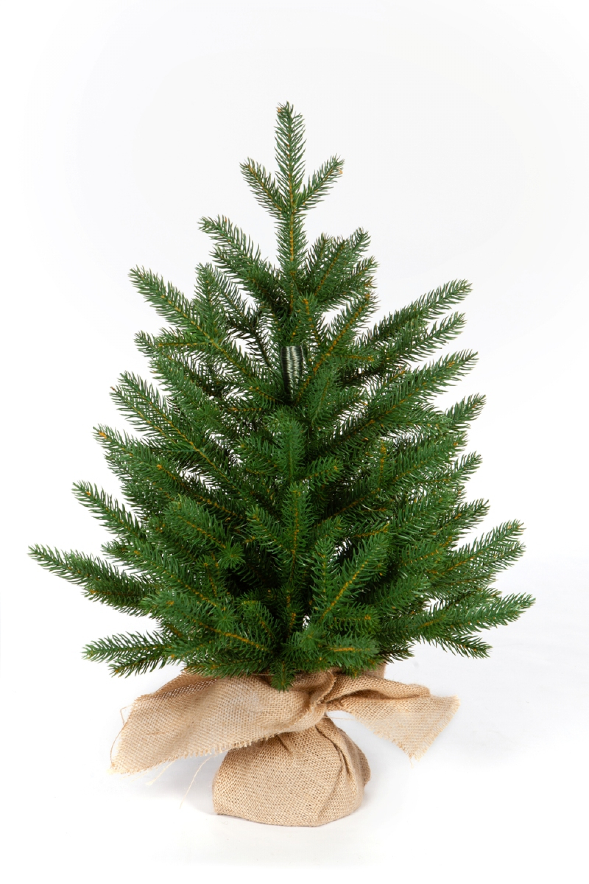 Crystal trees Ель искусственная Персея 90 см