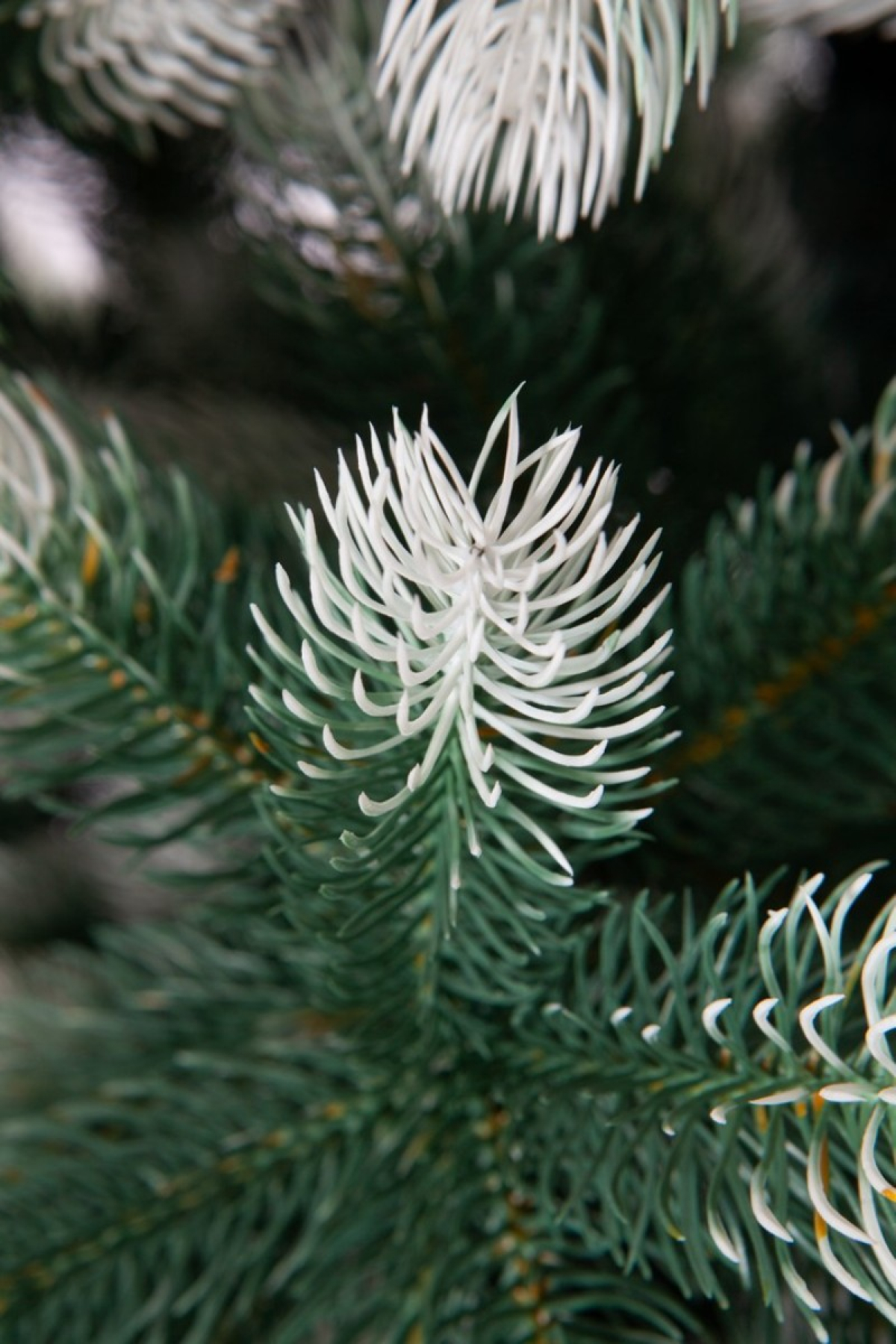 Crystal trees Сосна искусственная Швейцарская снежная 1.5 м