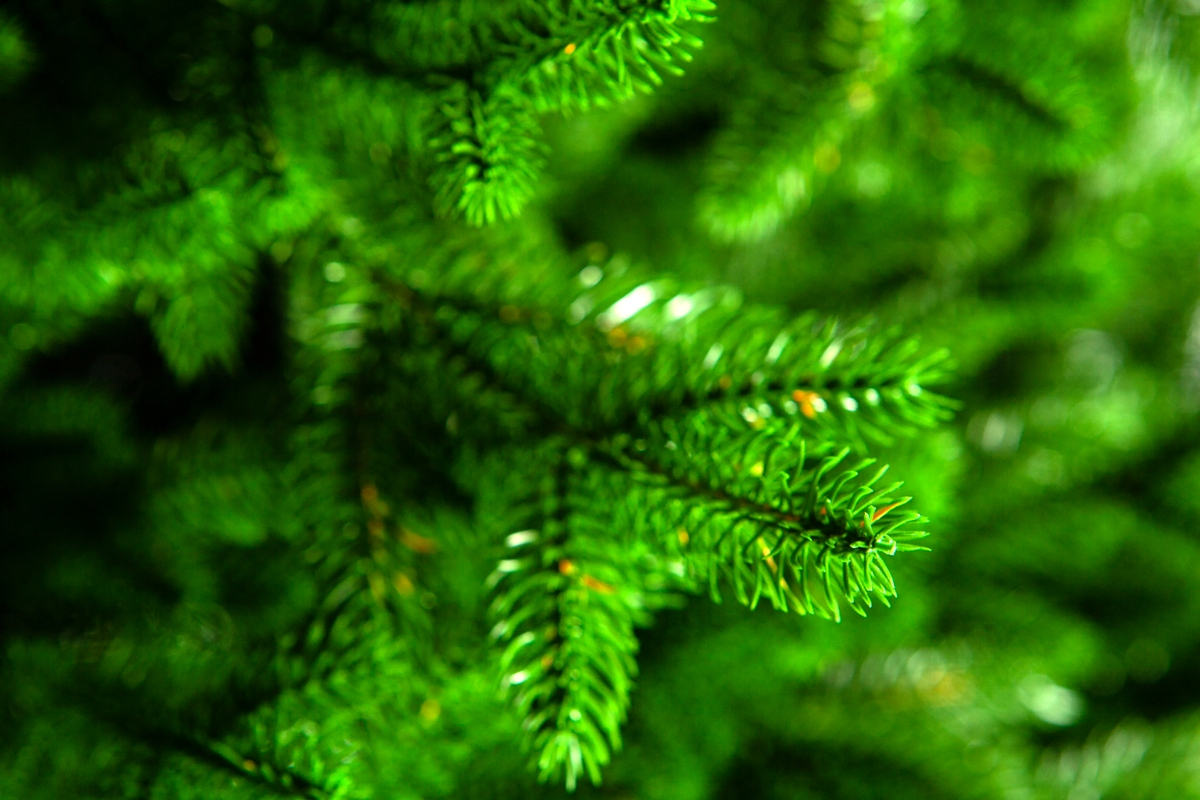 Crystal trees Ель искусственная  ПРОВАНС 150 см
