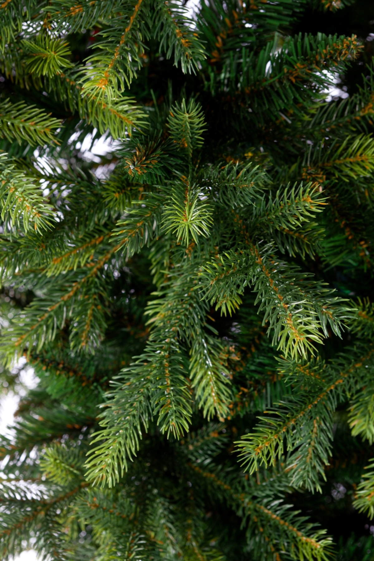 CRYSTAL TREES Ель искусственная Княжеская зеленая 2.5 м