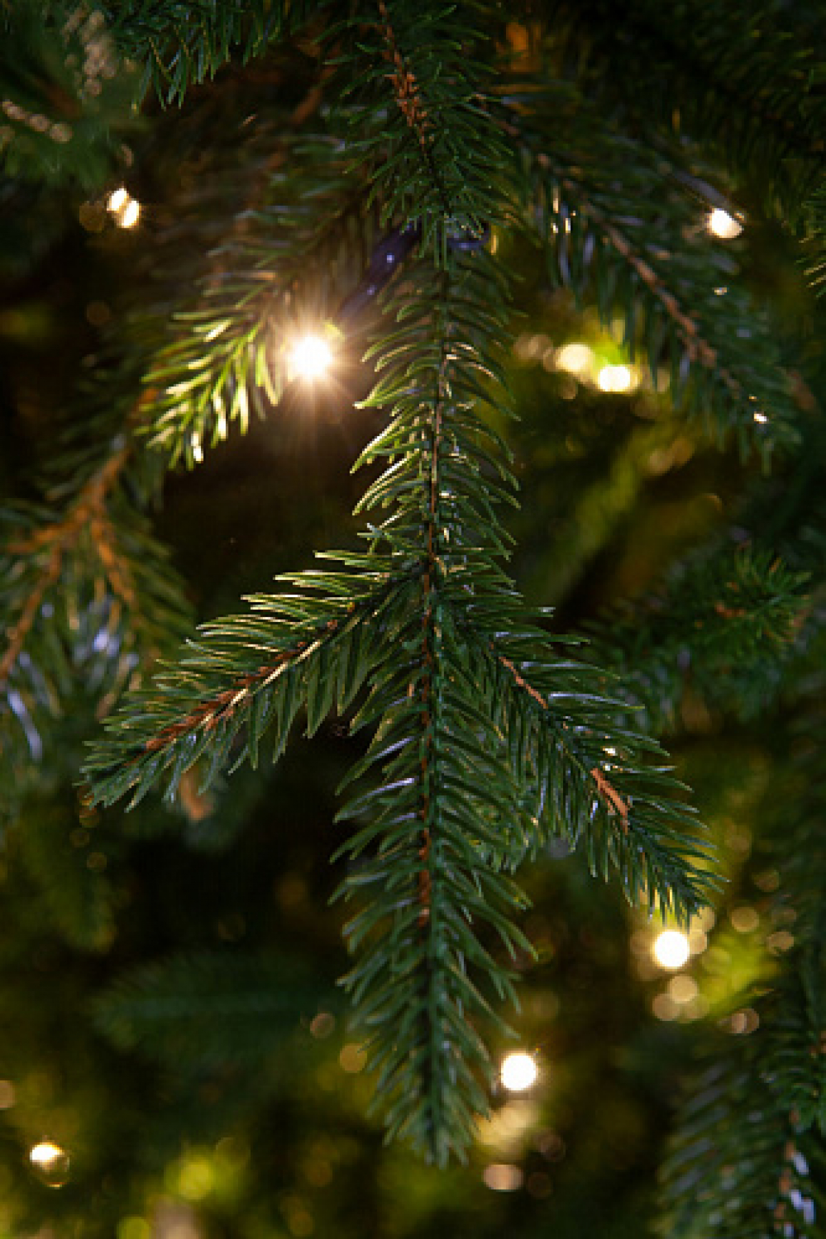 Crystal trees Ель искусственная Персея с вплетенной гирляндой 150 см