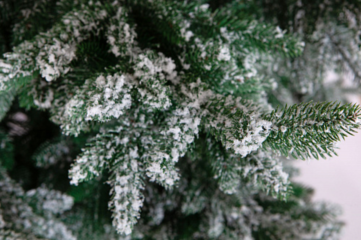 Crystal trees Ель искусственная Шотландия в снегу 230 см