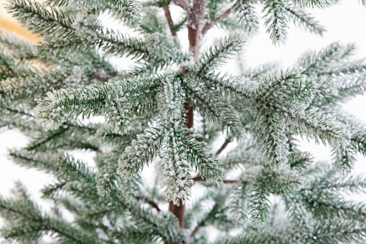 Crystal trees Ель искусственная РОНДА в снегу 150 см