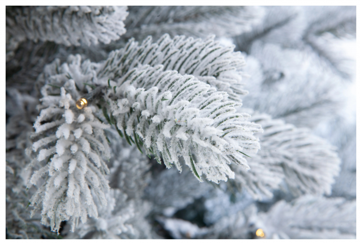 Crystal trees Ель искусственная Мольвено в снегу с вплетенной гирляндой 215 см