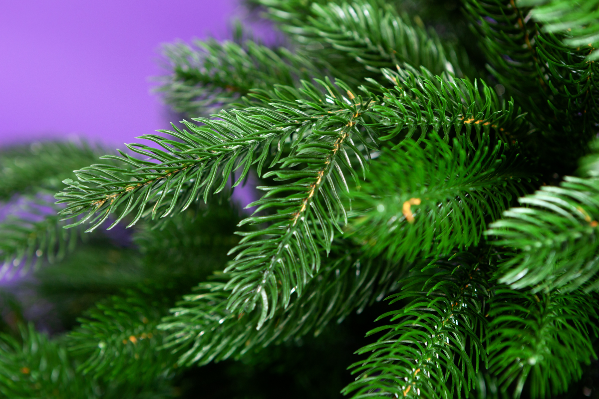 Crystal trees Ель искусственная ОЛИВИЯ 215 см