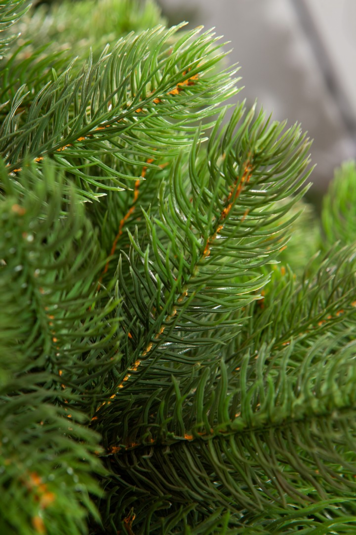 Crystal trees Искусственная Сосна Швейцарская 2.1