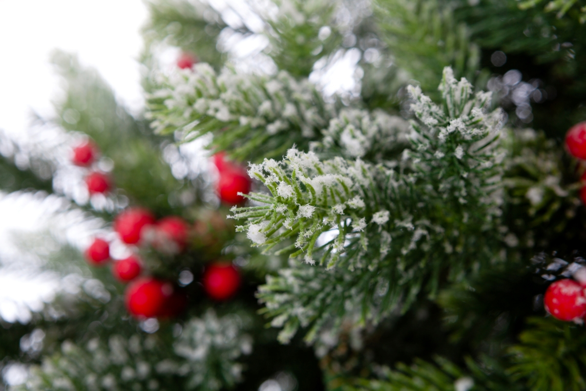 Crystal trees Ель искусственная Лаки заснеженная с ягодами 1.8 м