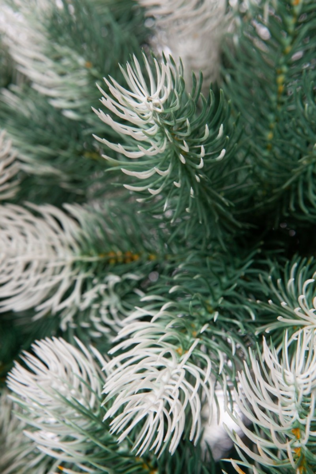 Crystal trees Сосна искусственная Швейцарская снежная 1.5 м