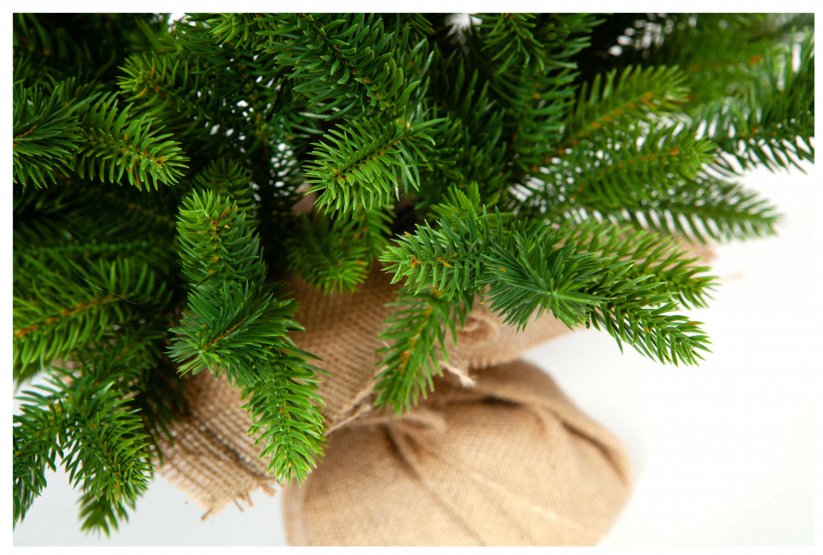 Crystal trees Ель искусственная ТРИУМФ 90 см
