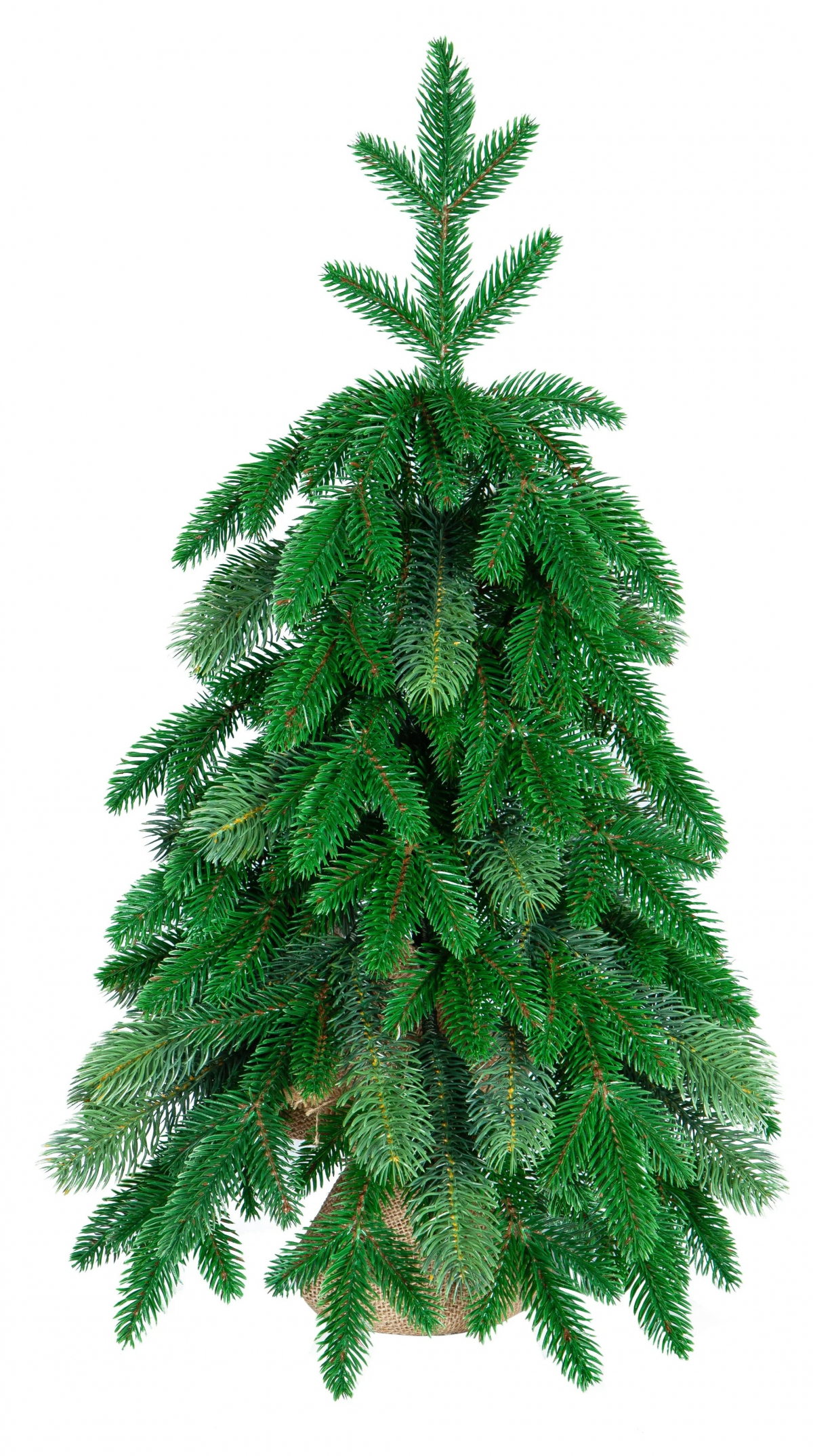 Crystal trees Ель искусственная АНДОРРА 60 см