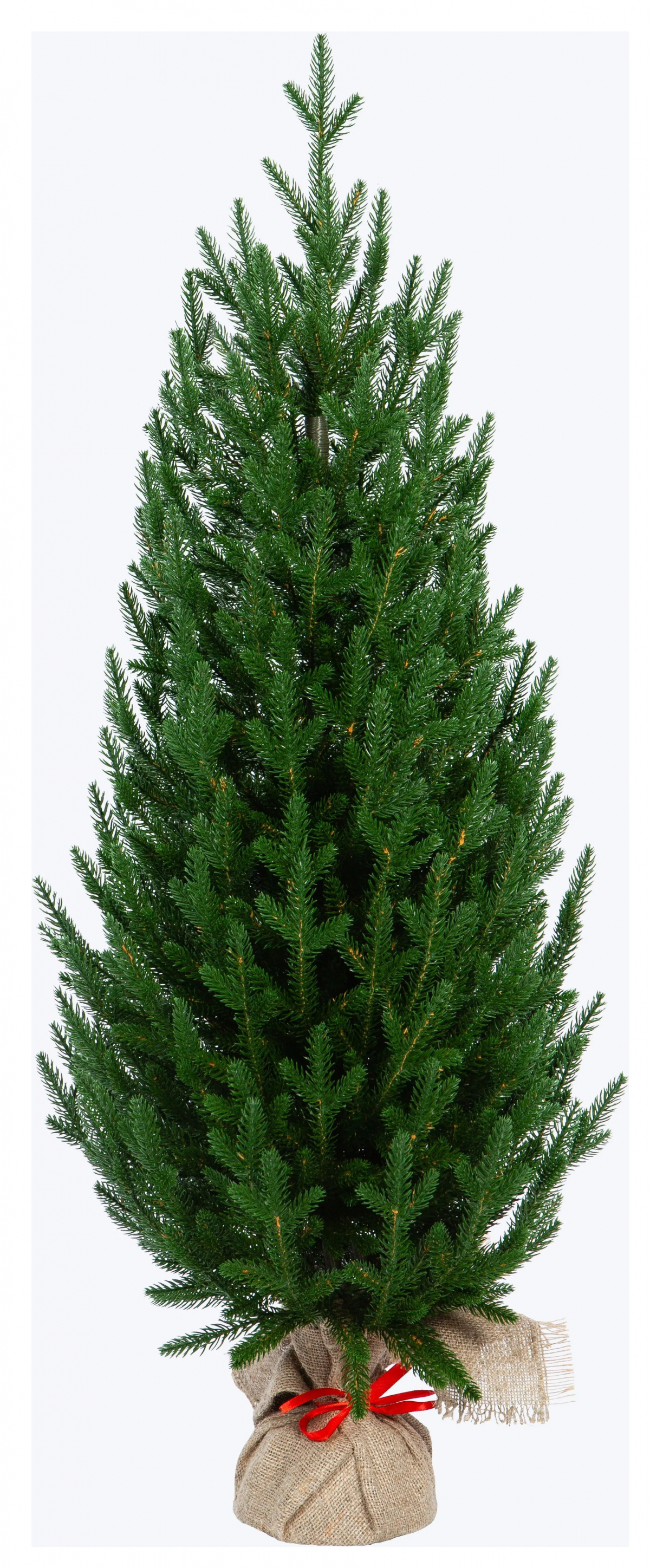 Crystal trees Ель искусственная ГРАЦИЯ 90 см