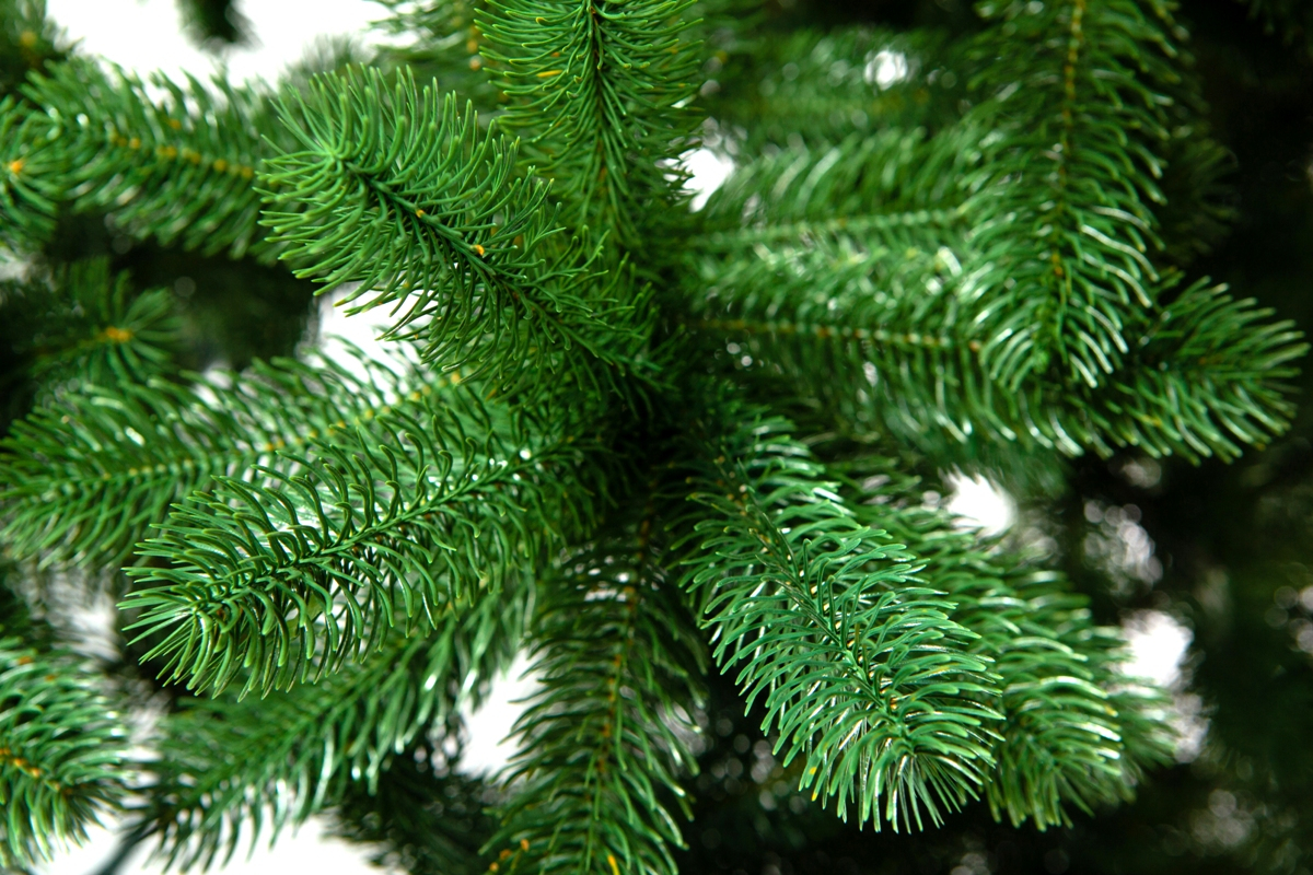 Crystal trees Ель искусственная Бергамо 230 см