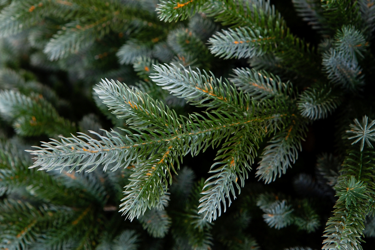 Crystal trees Ель искусственная ИЗУМРУДНАЯ ЭДИТ 185 см
