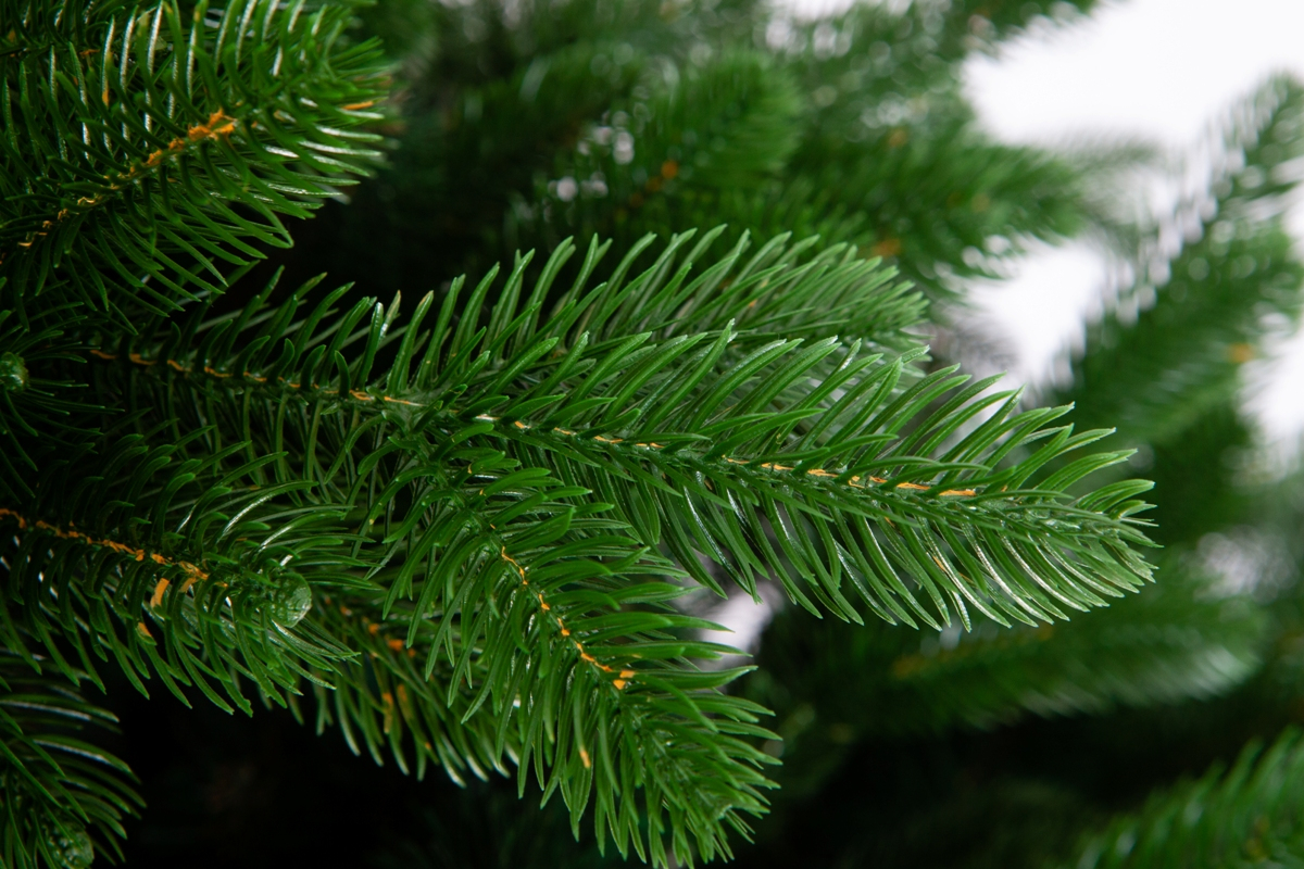 Crystal trees Ель искусственная Бермингем 215 см