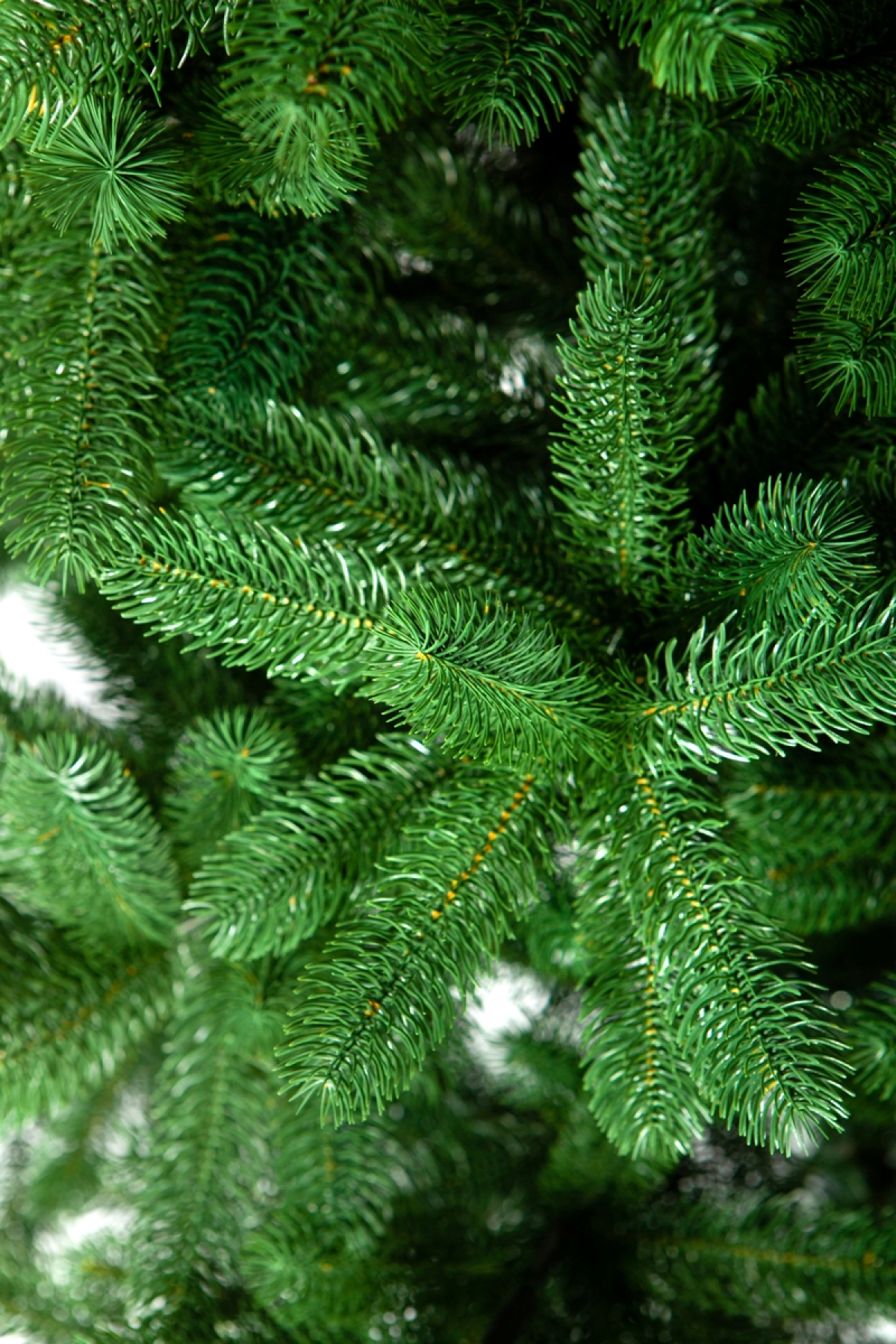 Crystal trees Ель искусственная Бергамо 230 см