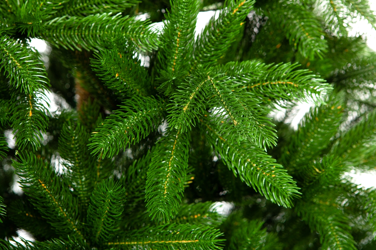 Crystal trees Ель искусственная ОЛИВИЯ 215 см