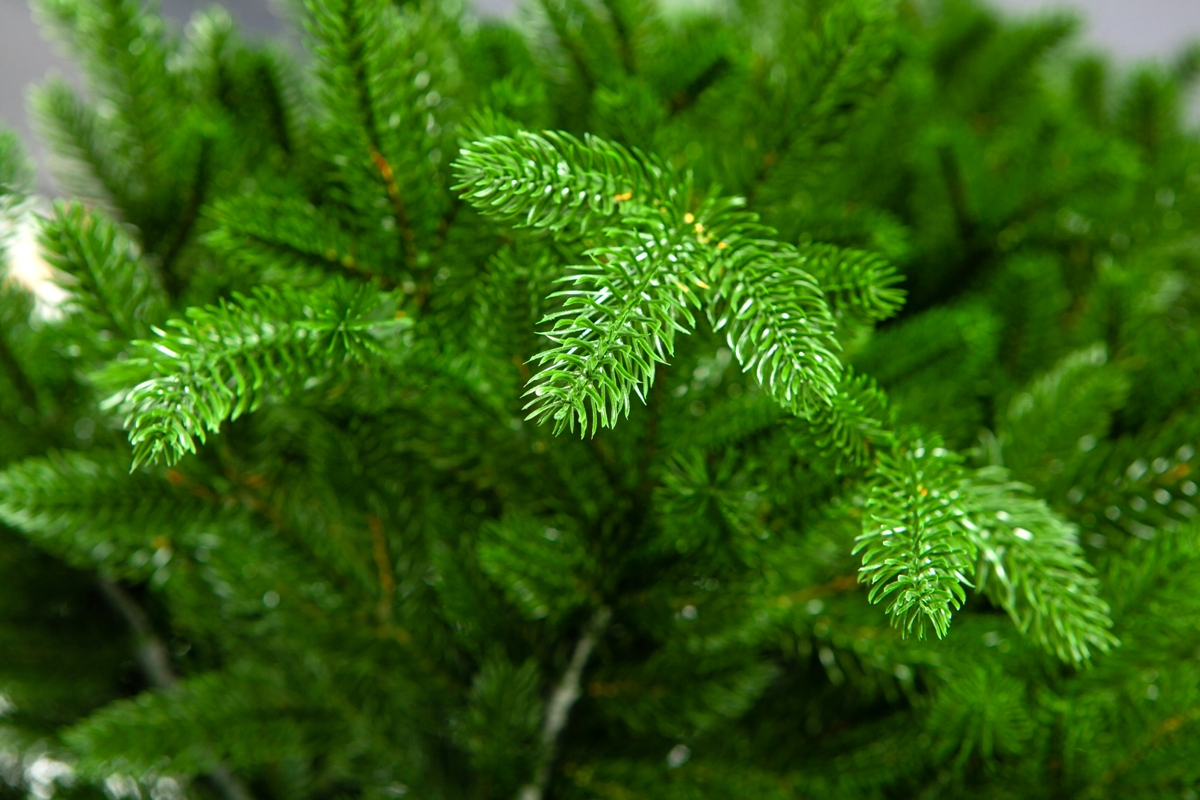 Crystal trees Ель искусственная ТАЛА 150 см