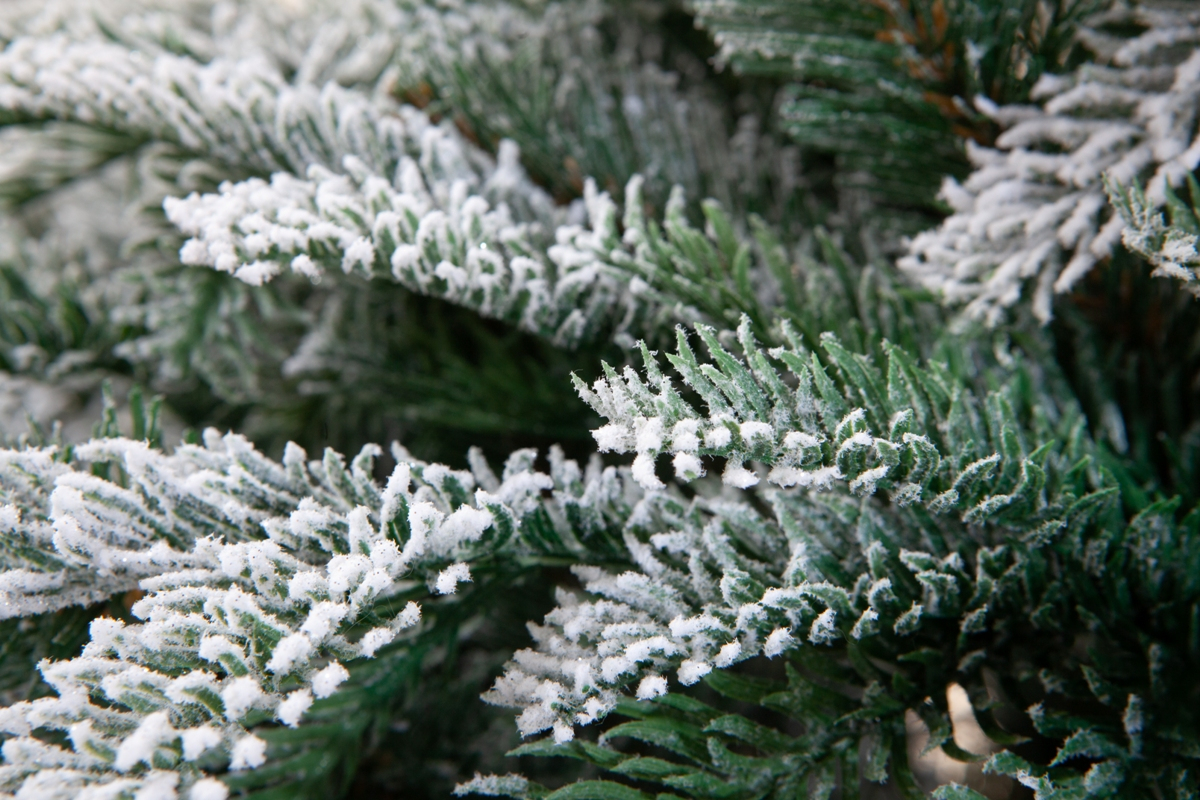 Crystal trees Ель искусственная Гарда заснеженная 1.8 м
