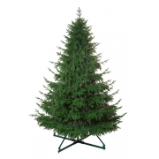 Crystal trees Ель Шотландия 3