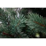 crystal-trees-sosna-iskusstvennaya-khilton-zeleno-golubaya-2-8-m