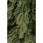 crystal-trees-el-iskusstvennaya-emili-sero-golubaya-1-8-m