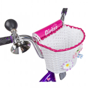 detskij-velosiped-novatrack-little-girlzz-16-2019