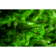crystal-trees-el-iskusstvennaya-provans-150-sm