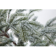 crystal-trees-el-iskusstvennaya-boleri-v-snegu-180-sm