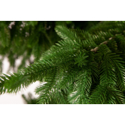 crystal-trees-el-shotlandiya-interernaya-podstavka-2-5