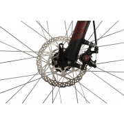 gornyj-mtb-velosiped-stinger-graphite-le-29-2021-rama-20-chernyj