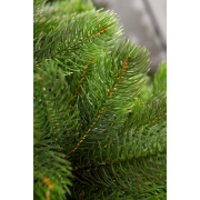 crystal-trees-iskusstvennaya-sosna-shvejtsarskaya-2-1