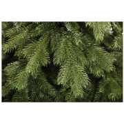 crystal-trees-el-iskusstvennaya-emili-zelenaya-1-8-m