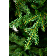 crystal-trees-el-iskusstvennaya-melburn-185-sm