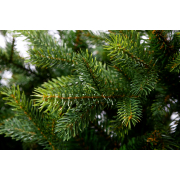 crystal-trees-el-iskusstvennaya-knyazheskaya-zelenaya-2-5-m
