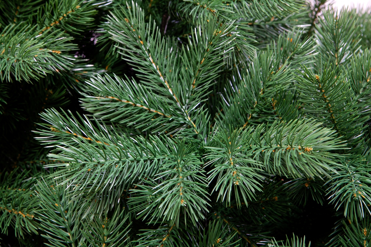 Crystal trees Сосна искусственная Вирджиния 1.5 м